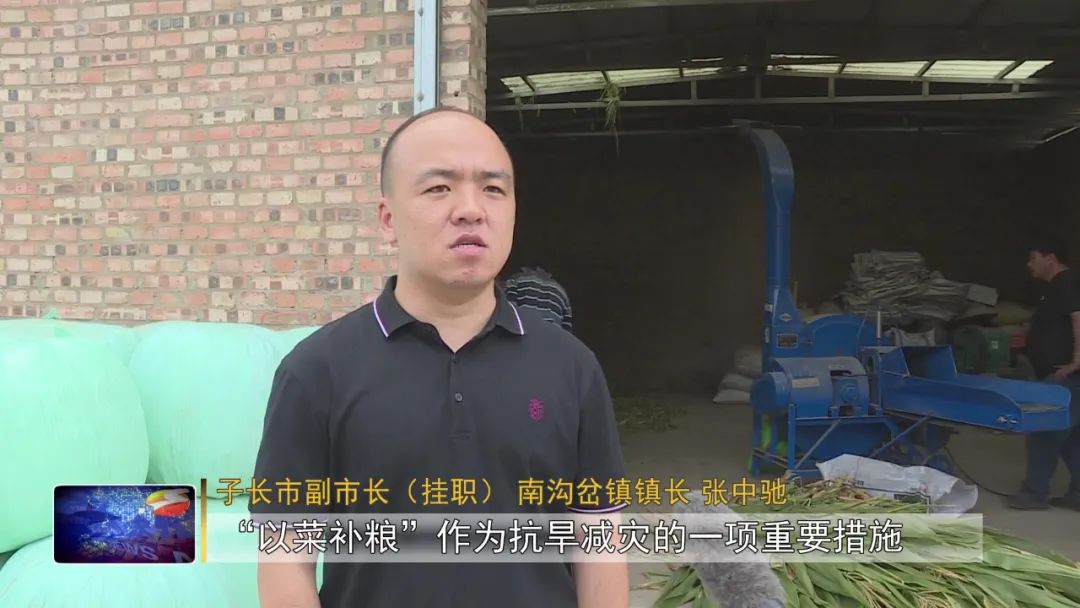 南沟岔镇:抢收玉米青贮 积极抗灾自救