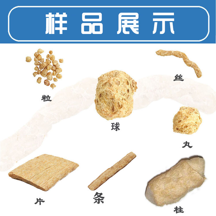 全自动拉丝蛋白素肉加工设备