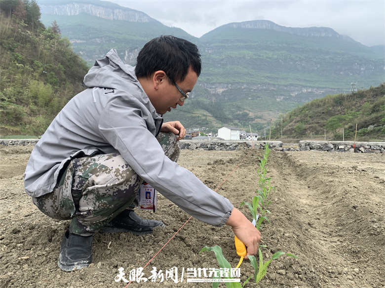 邵鹏:扎根田间地头 播下产业新希望