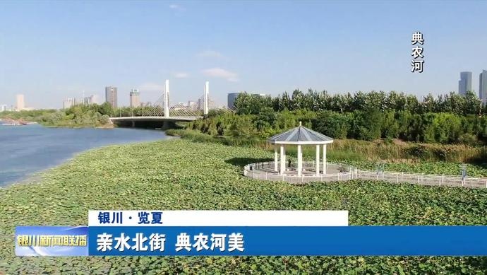 览夏|典农河畔风光好,亲水街边美景多!