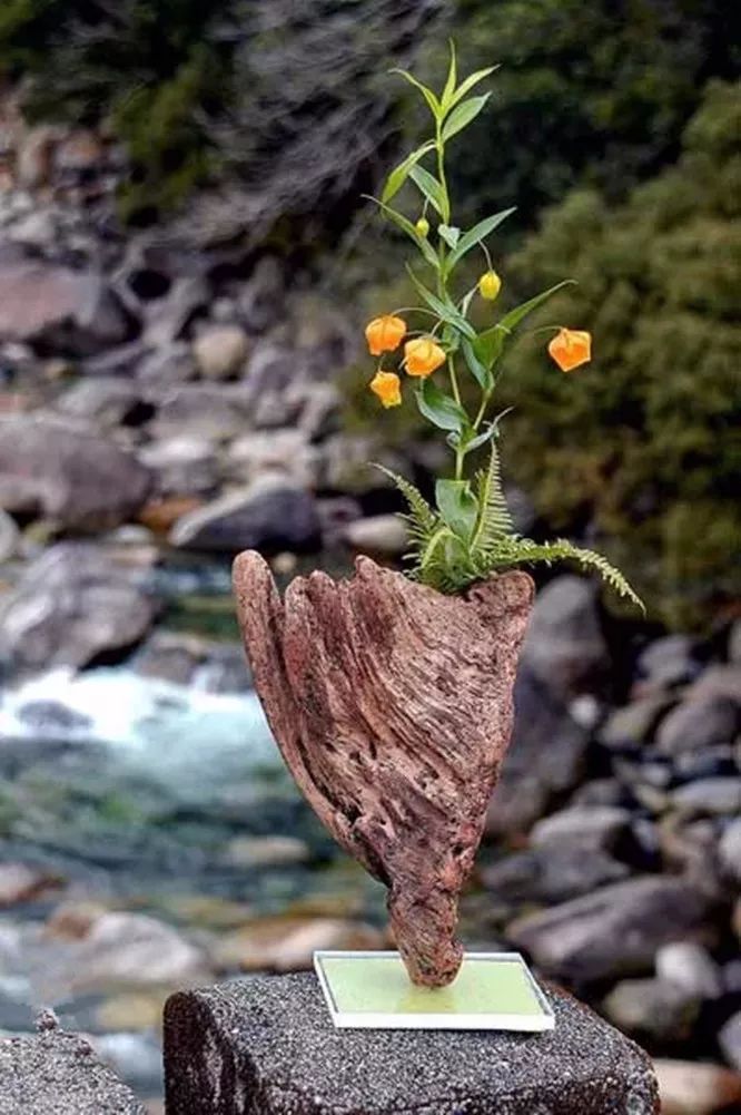 东方插花|枯木生花,满室禅意!