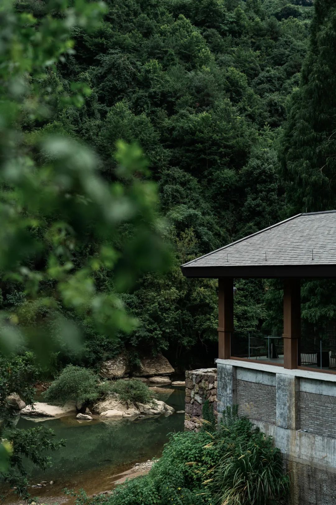 新昌安岚惊艳开业!