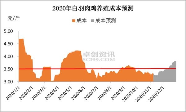 白羽肉鸡价格强势破4养殖利润涨幅超341%