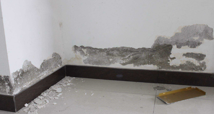 卫生间门口墙皮脱落返潮处理方法