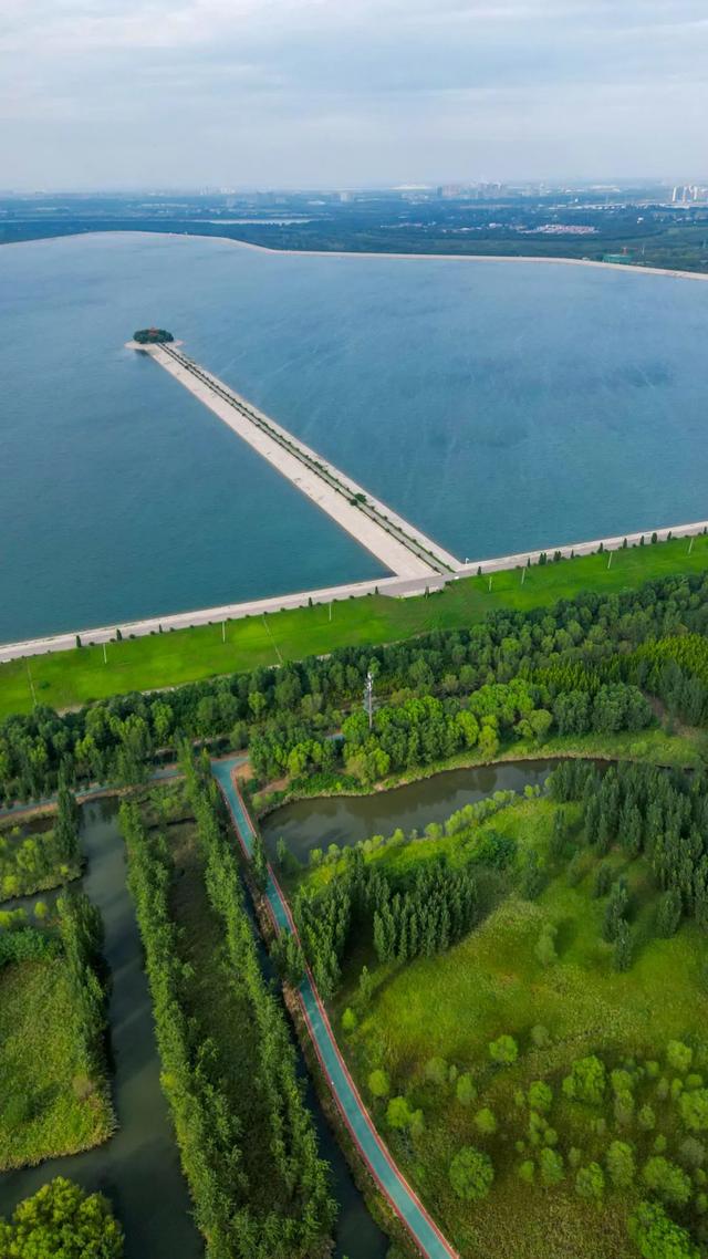 济南黄河大草坪图片