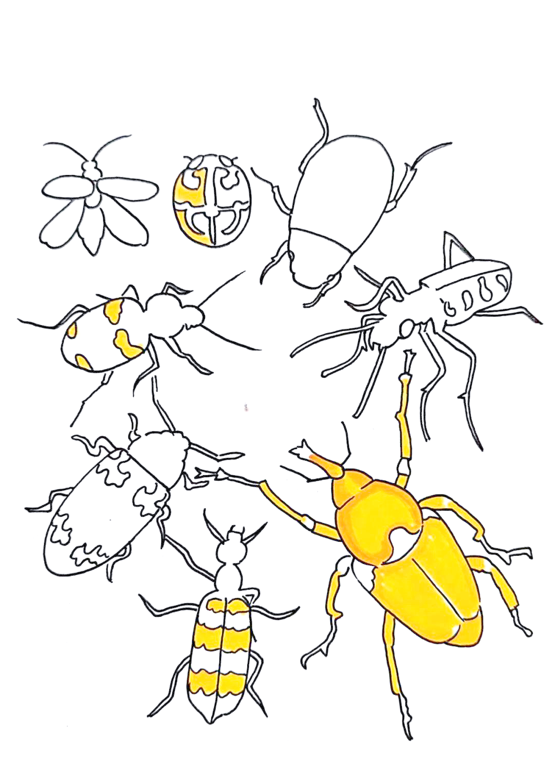 《昆虫记》春季绘画教程