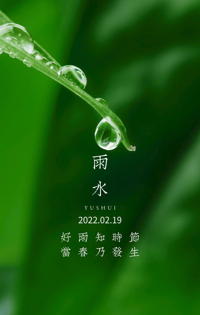 二十四节气——雨水海报