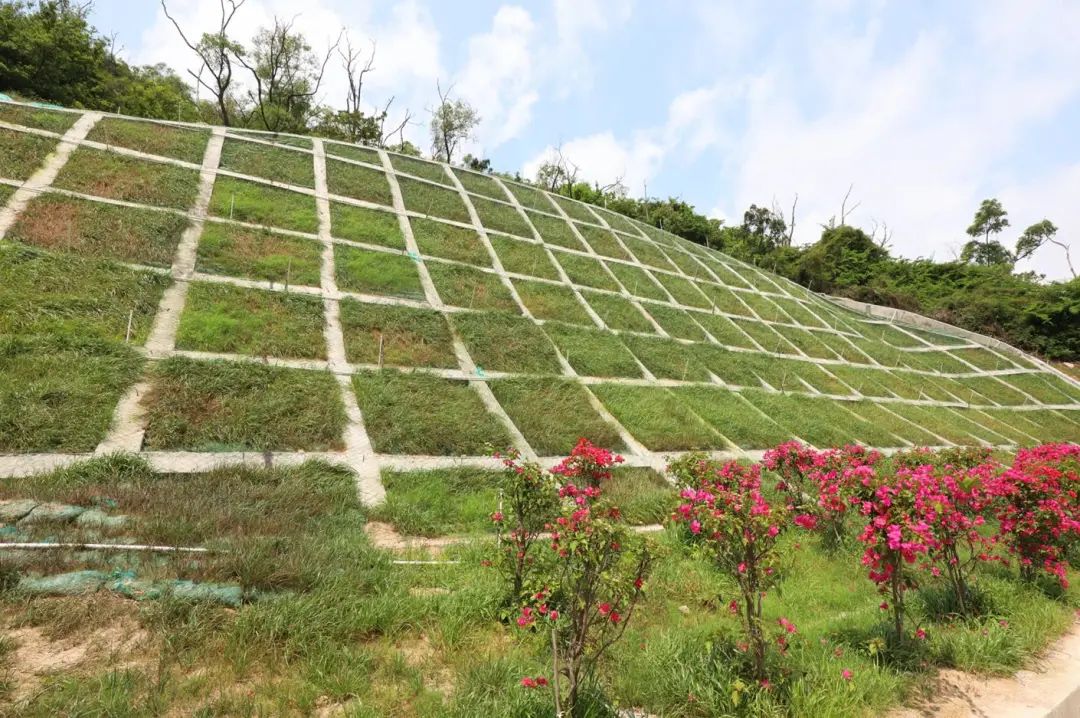 地质灾害治理