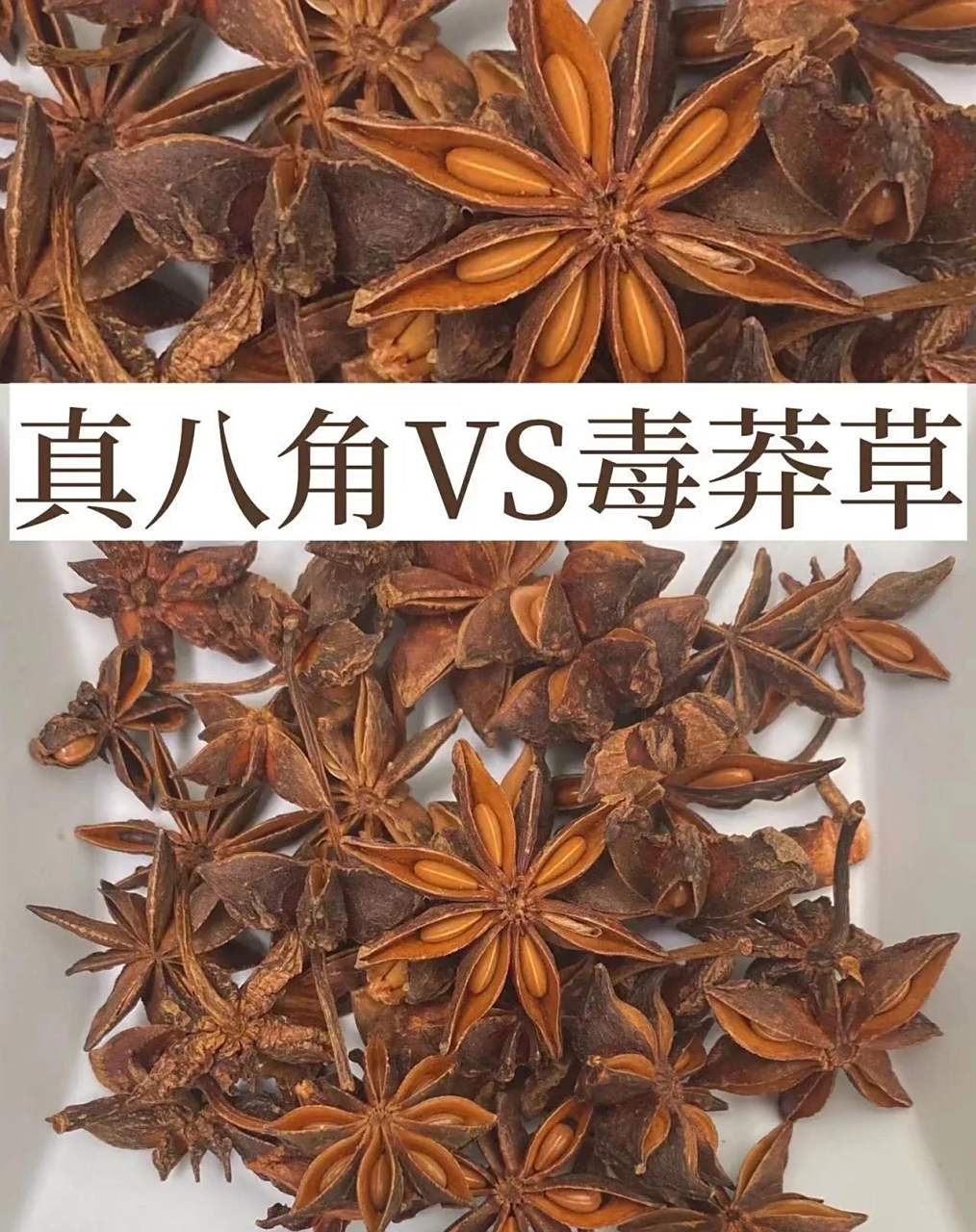 如何分辨"真假"八角?