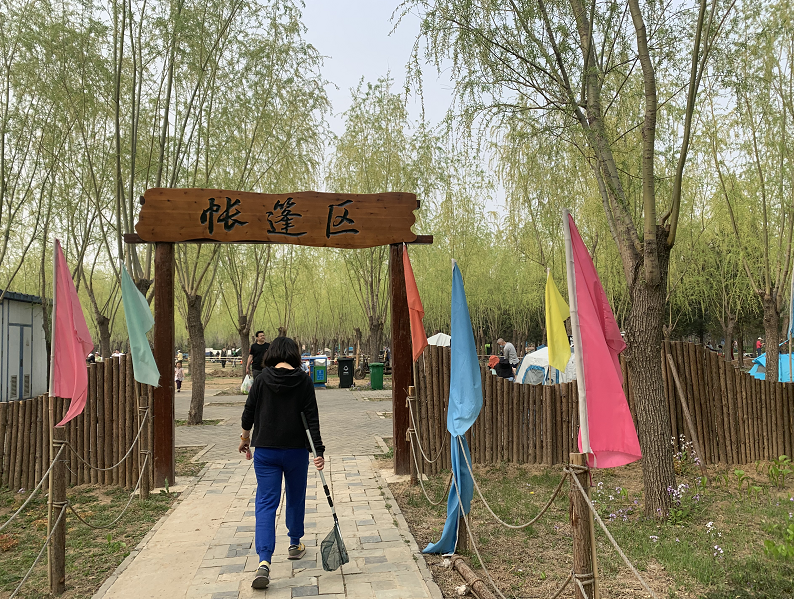 市内难寻场地,郊野公园"一位难求",北京哪儿能搭帐篷?