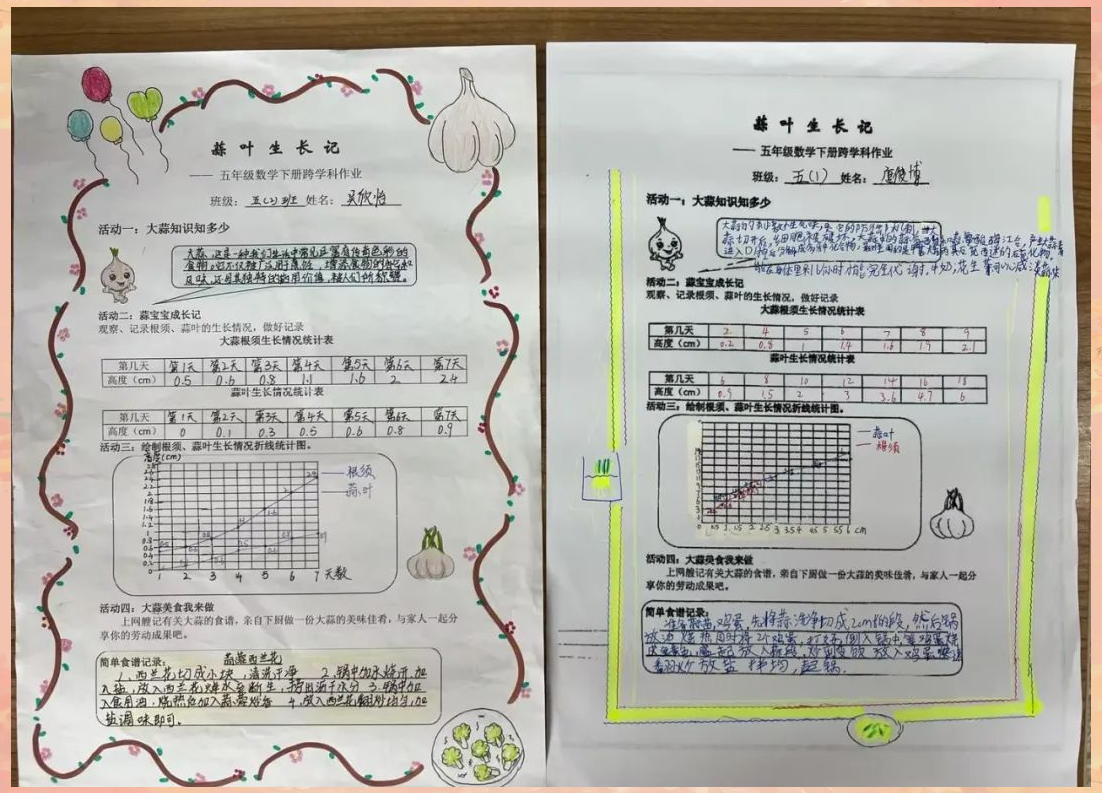 五年级组深度体验学科实践作业展示