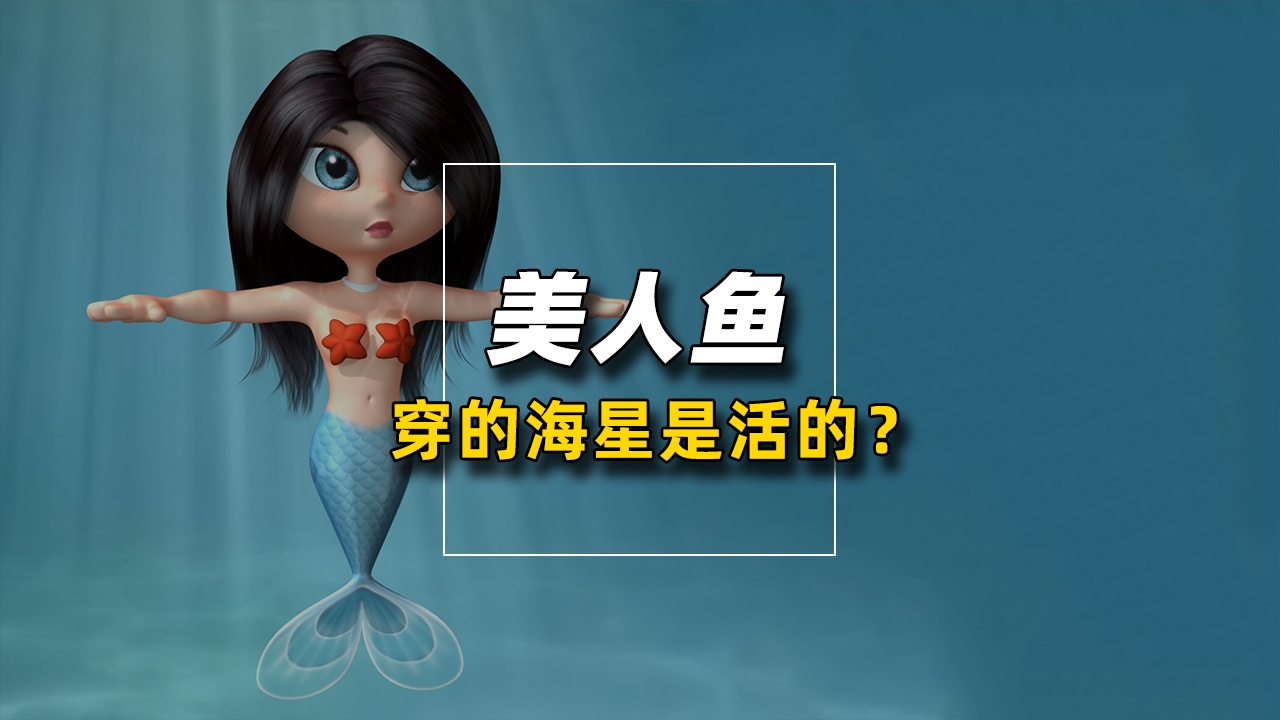 小美人鱼身上挂的海星,是死的还是活的呢?