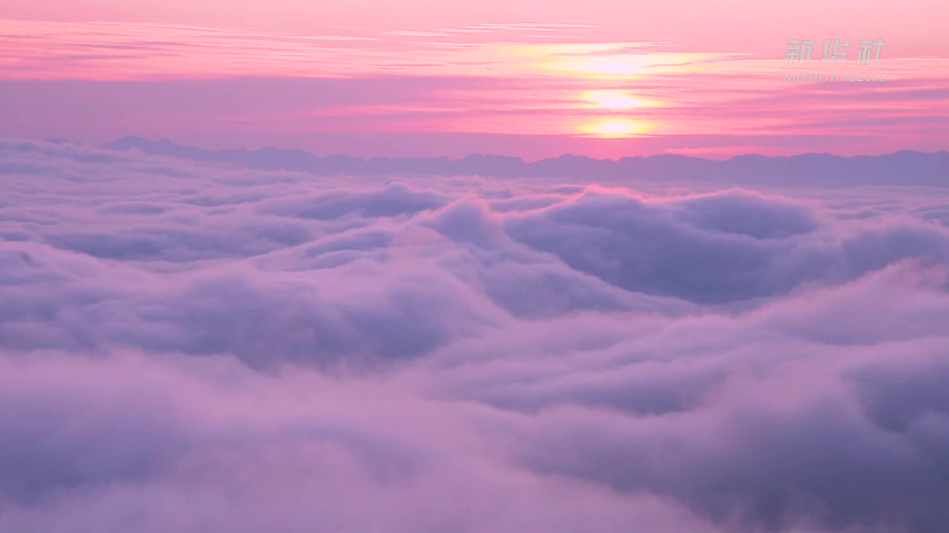 震撼!云南大围山粉色云海美如画