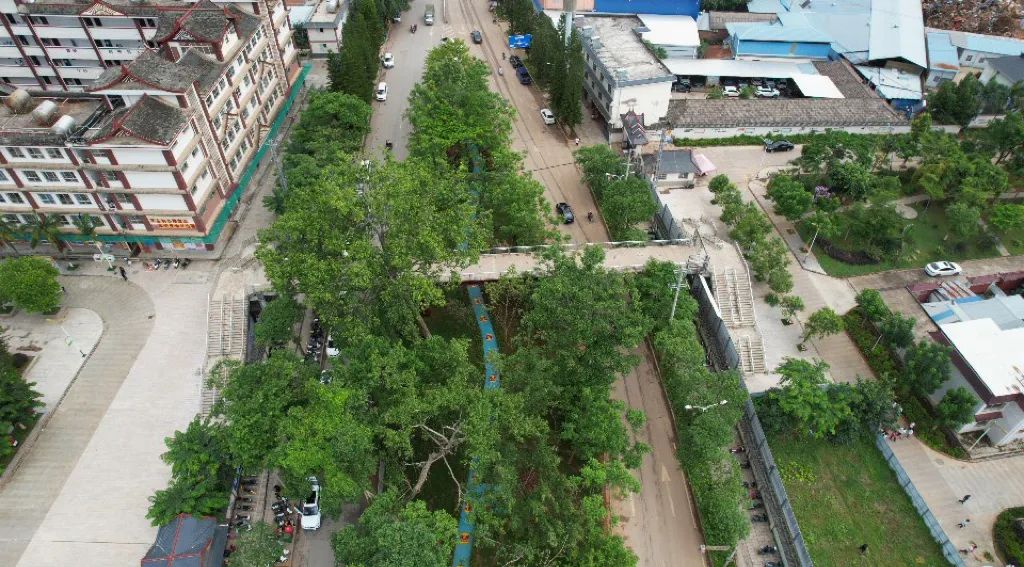 绿美孟连｜孟连又一个“口袋公园”上新！