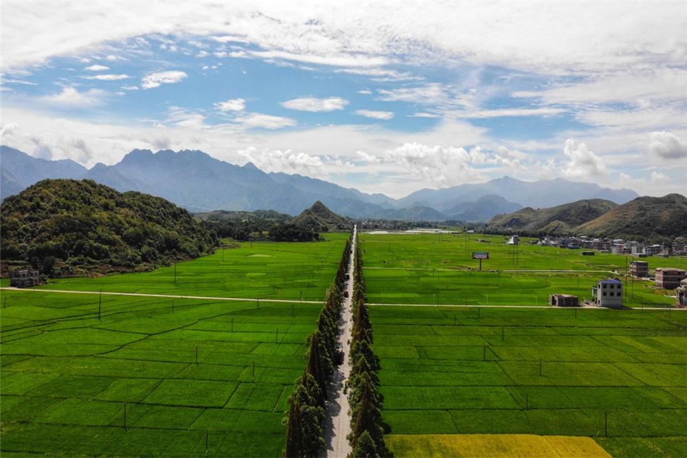 乡村振兴"有范" 江华涛圩镇面貌"四新"!