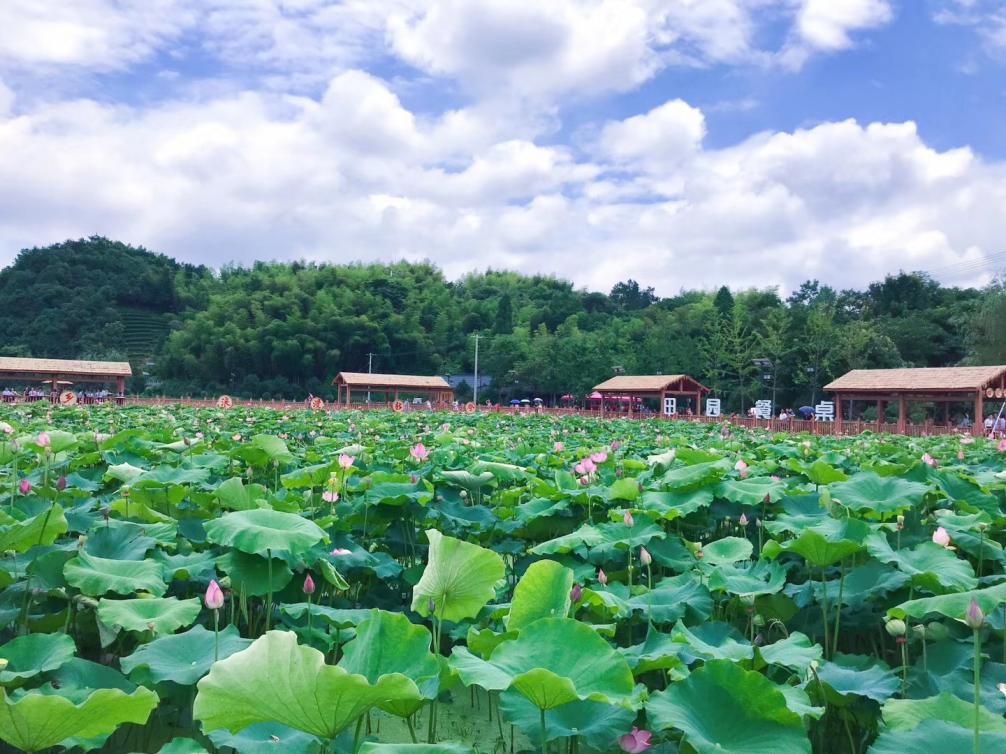 新登镇上山村图片