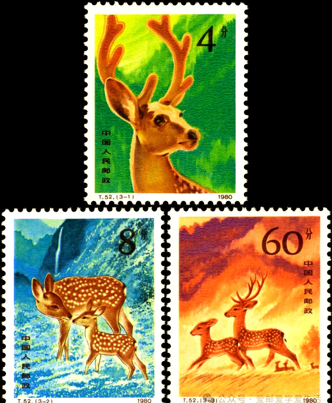 梅花鹿的多样形象与保护意识