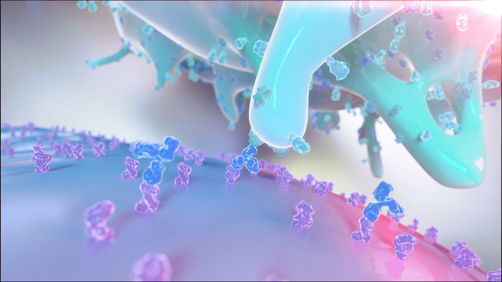 什么是抗原提呈细胞?它都有哪些种类?