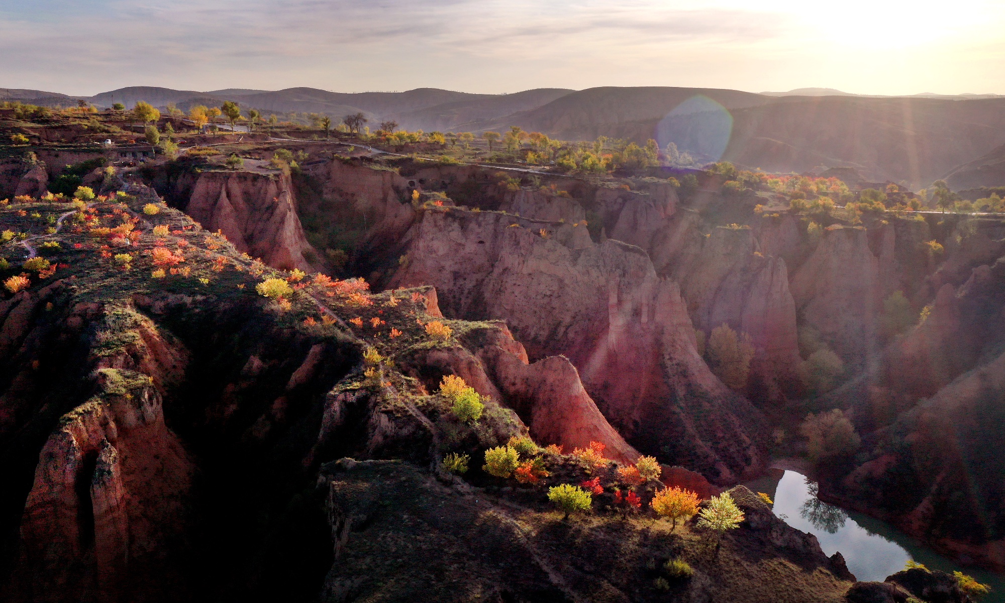 (美丽中国)秋染黄土地