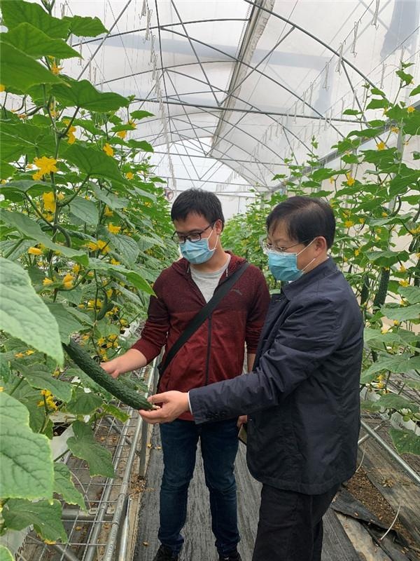 中农院蔬菜花卉所副所长张圣平一行到蔬菜所交流指导