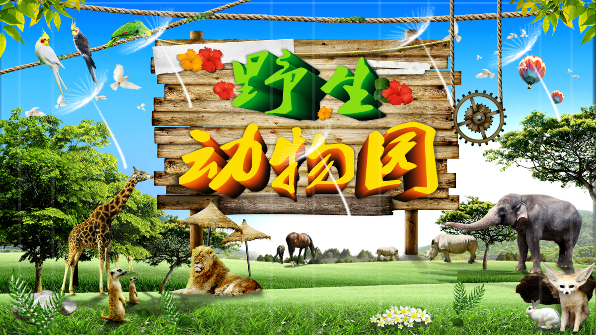 野生动物园动物世界ppt模板
