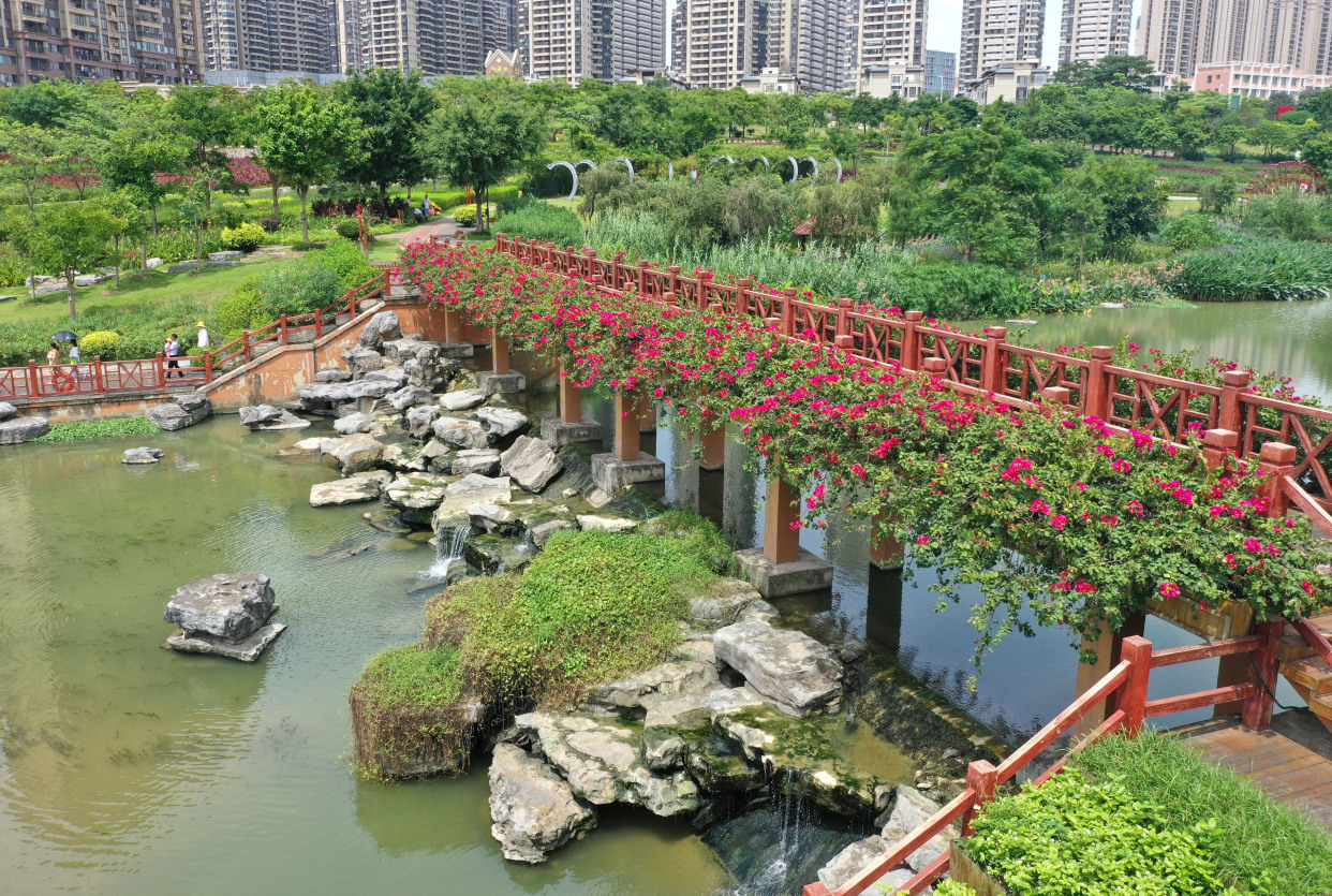 盛夏的那考河湿地公园