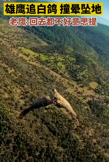 大神:没想到吧,我就是那个阿姨! 02 谁又能拒绝呢? 为什么不早说?