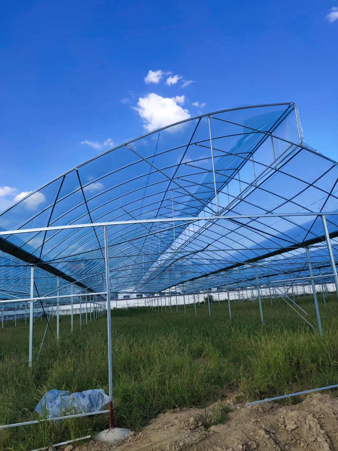 湖南永州智能薄膜连栋温室大棚骨架供应
