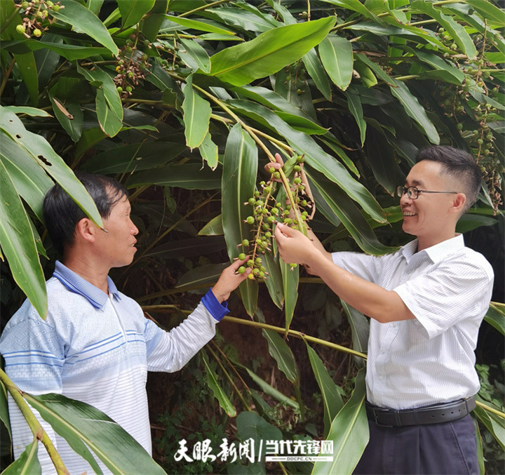 贞丰县沙坪镇图片