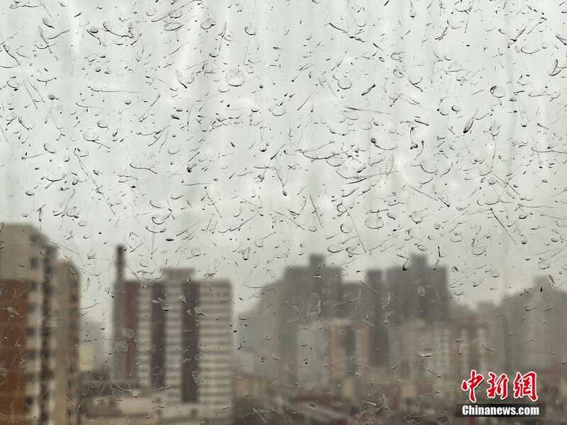 北京迎沙尘大风天气"泥雨"从天而降