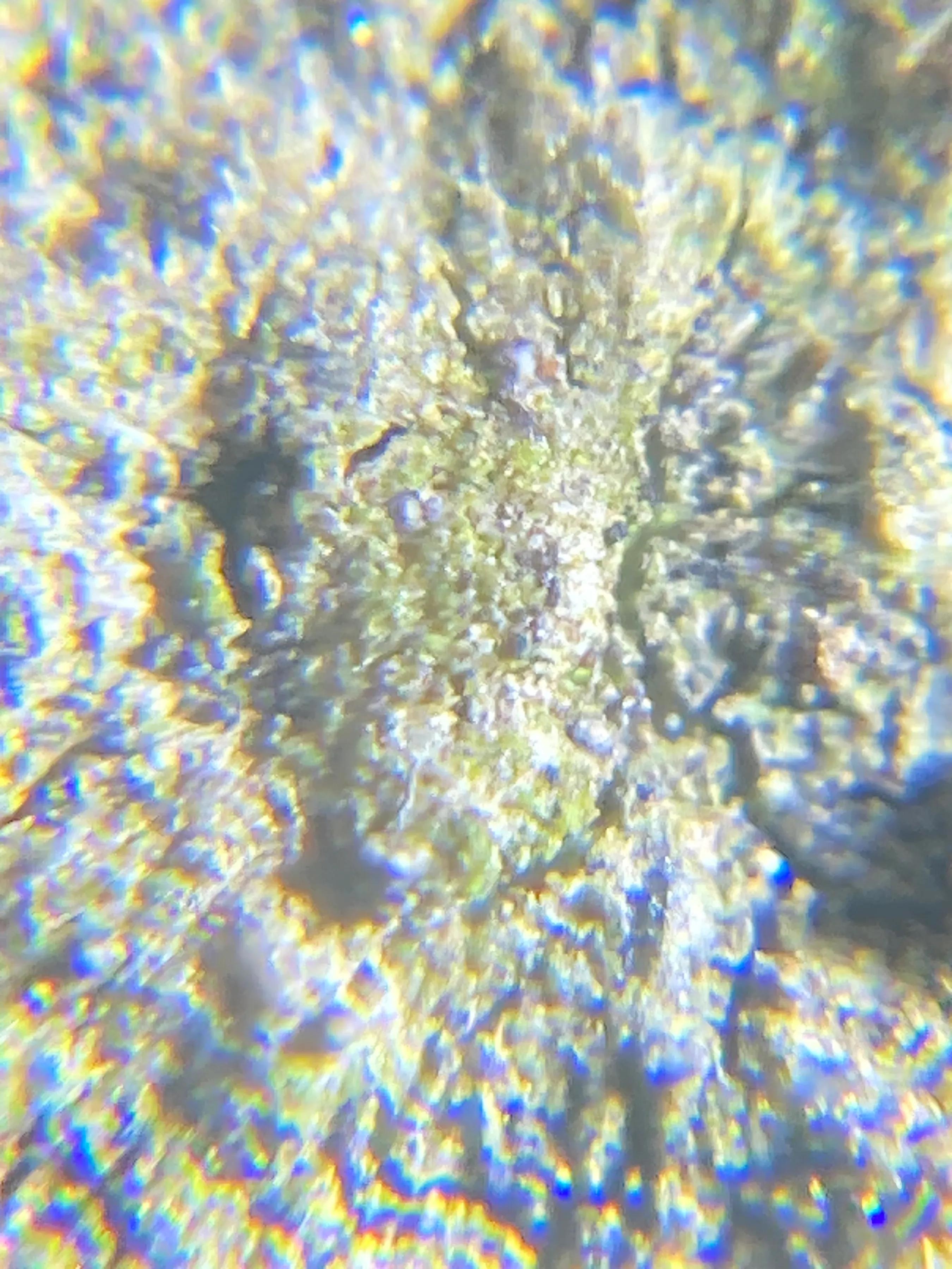 绢云母高清图片