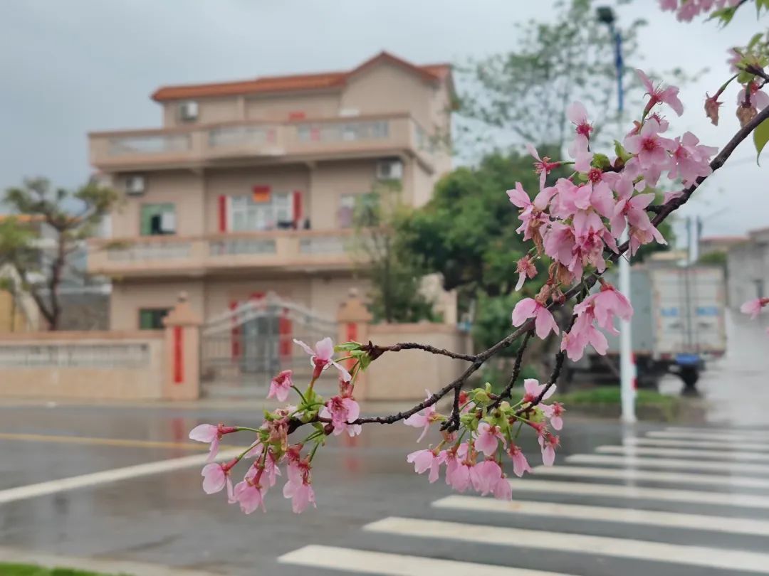 【一线实践】鹤山市鹤城镇:探索人大代表"三联双到通网格"工作模式