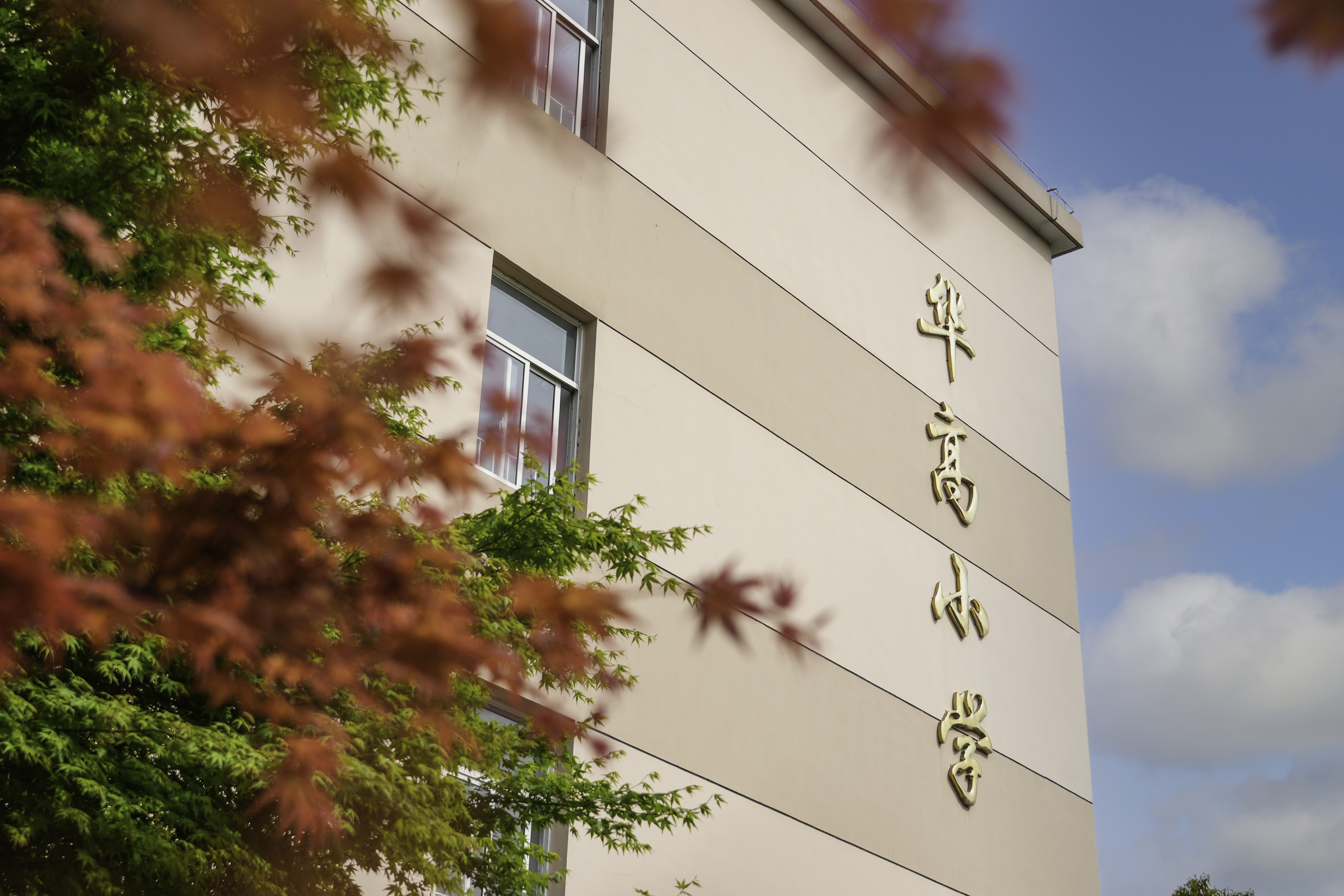 上海市华高小学:厚植和合精神,共建文明校园