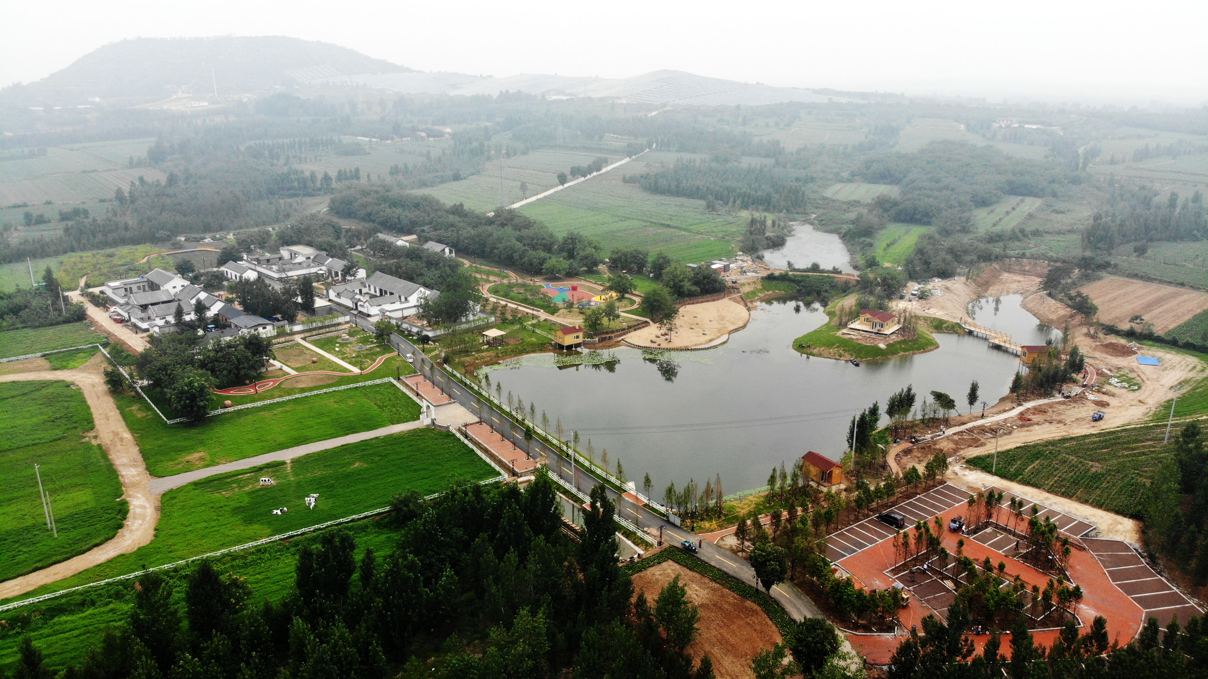 山东汶上:绿色乡村 美丽宜居