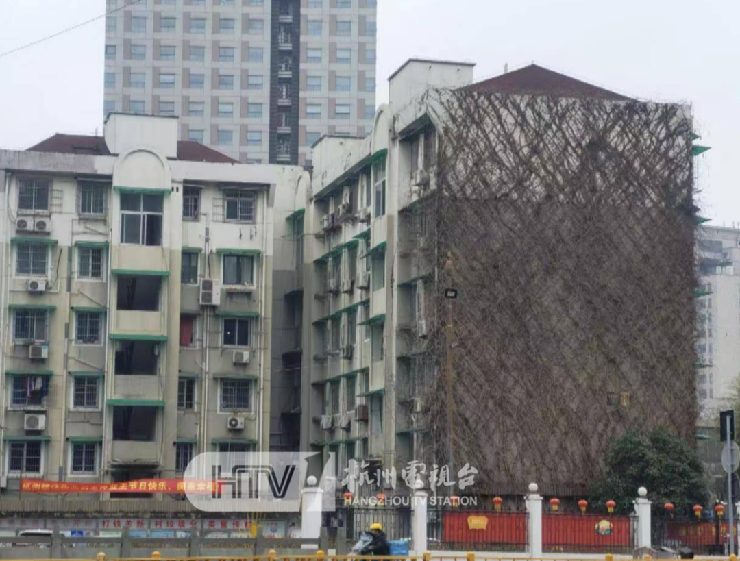 打铁关新村的网红凌霄花墙大变身!87户居民全部同意拆除,原因是