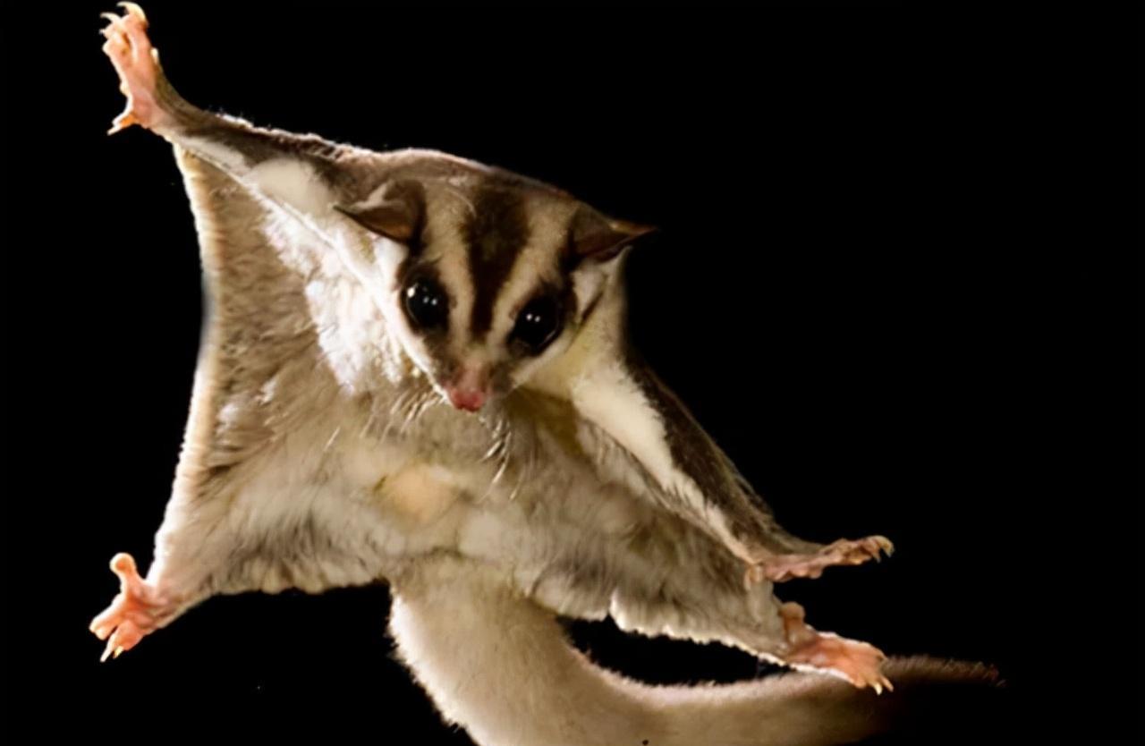 "宁过鬼门关,不下神堂湾",禁地神堂湾谷底怪声不断的真相是?