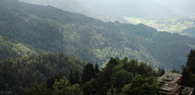 每日一诗《诗经·大雅·旱麓》,恤民力,则物丰饶民殷富国祚久