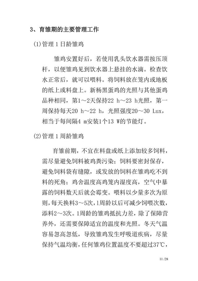 新杨黑蛋鸡饲养管理手册