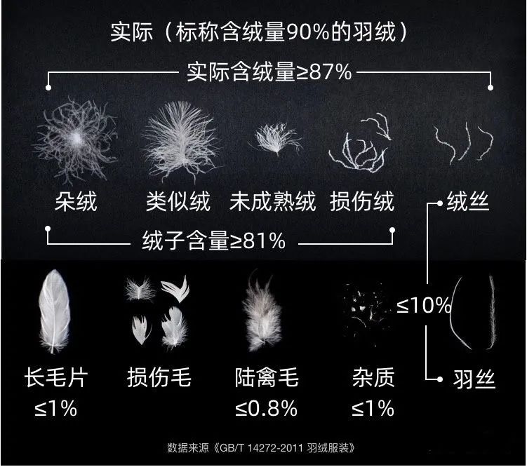 轻盈温暖不臃肿,这款白鹅绒马甲,内搭外穿都好看