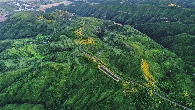 山西太原玉泉山城郊森林公园 漫山樱花入梦来