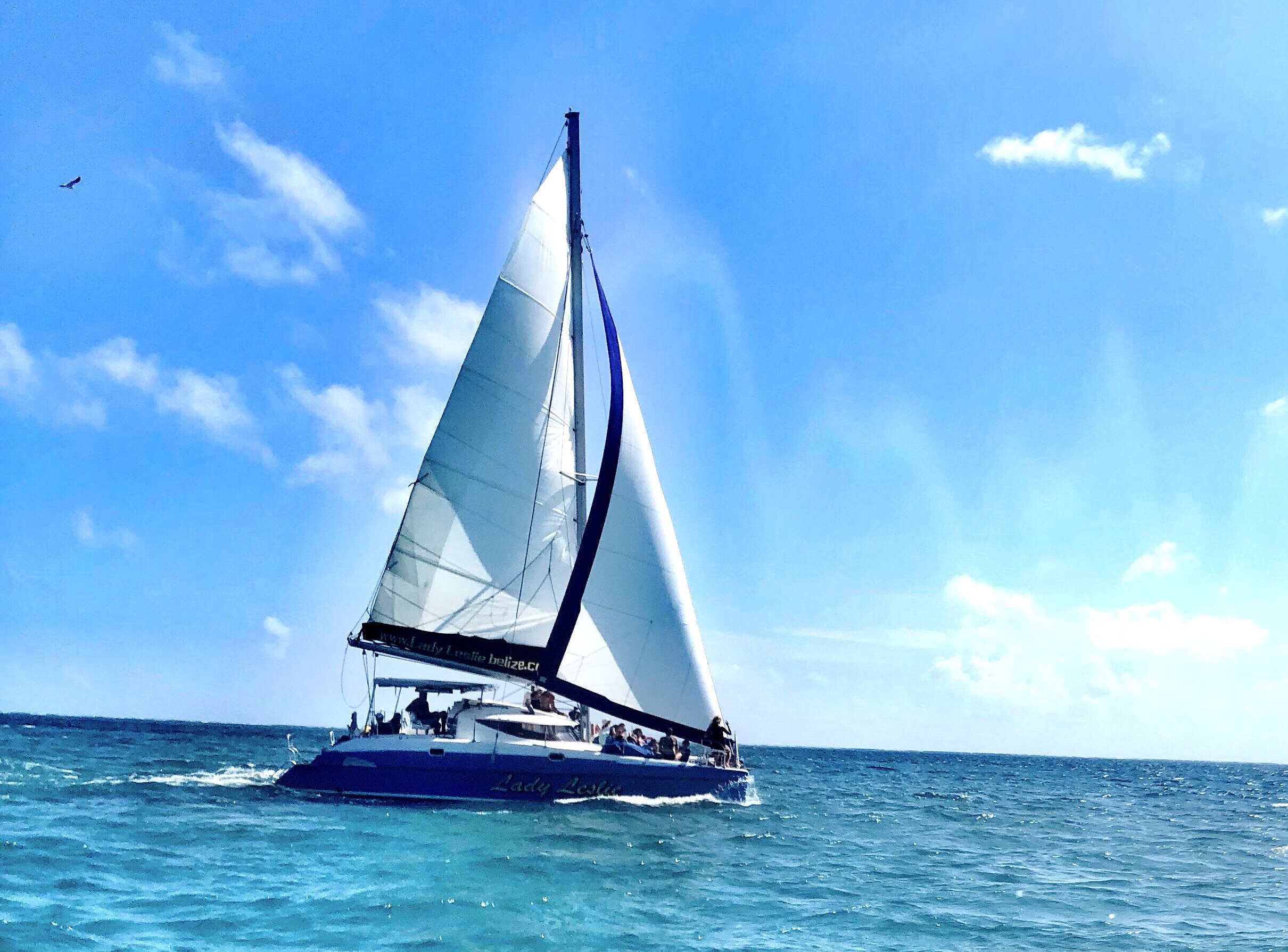 新的启程:投资从这里开始