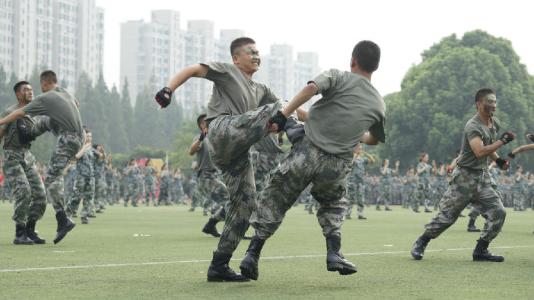 捕俘拳的十六招分别叫什么?