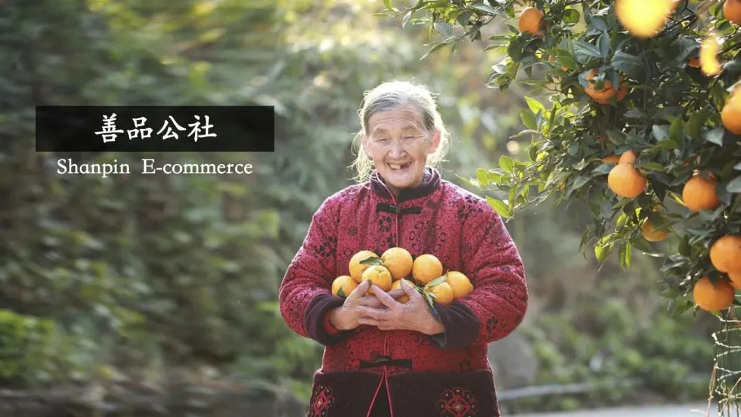 杨团:社会组织对乡村的认知需要全面提升