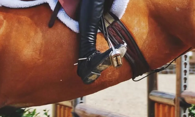 马刺是什么东西?