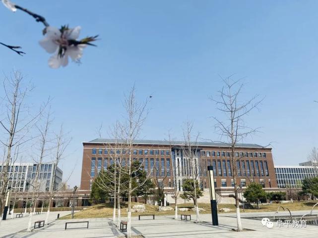 七彩周末,与爱同行——阜平职教中心开展特色校园文体活动