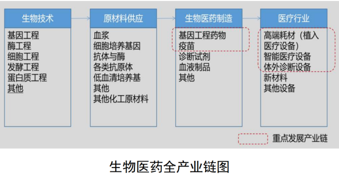 主要以目前市場需求量較大的高端醫療設備和生物醫藥鏈條為主進行佈局