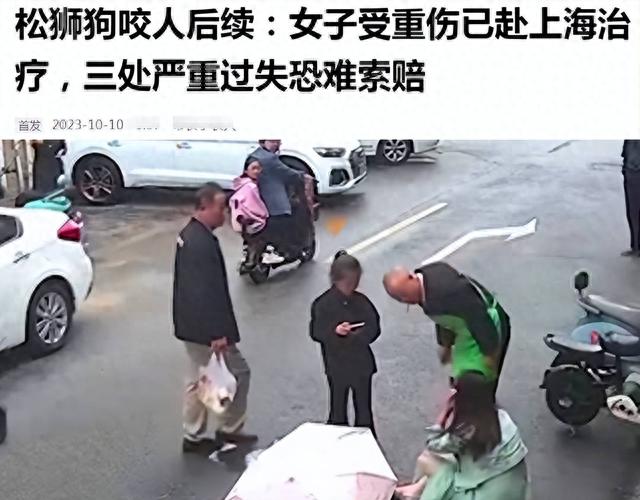 曝咬人松狮去世!女子赴沪治疗花百万,起诉索赔,主人改态度拒赔