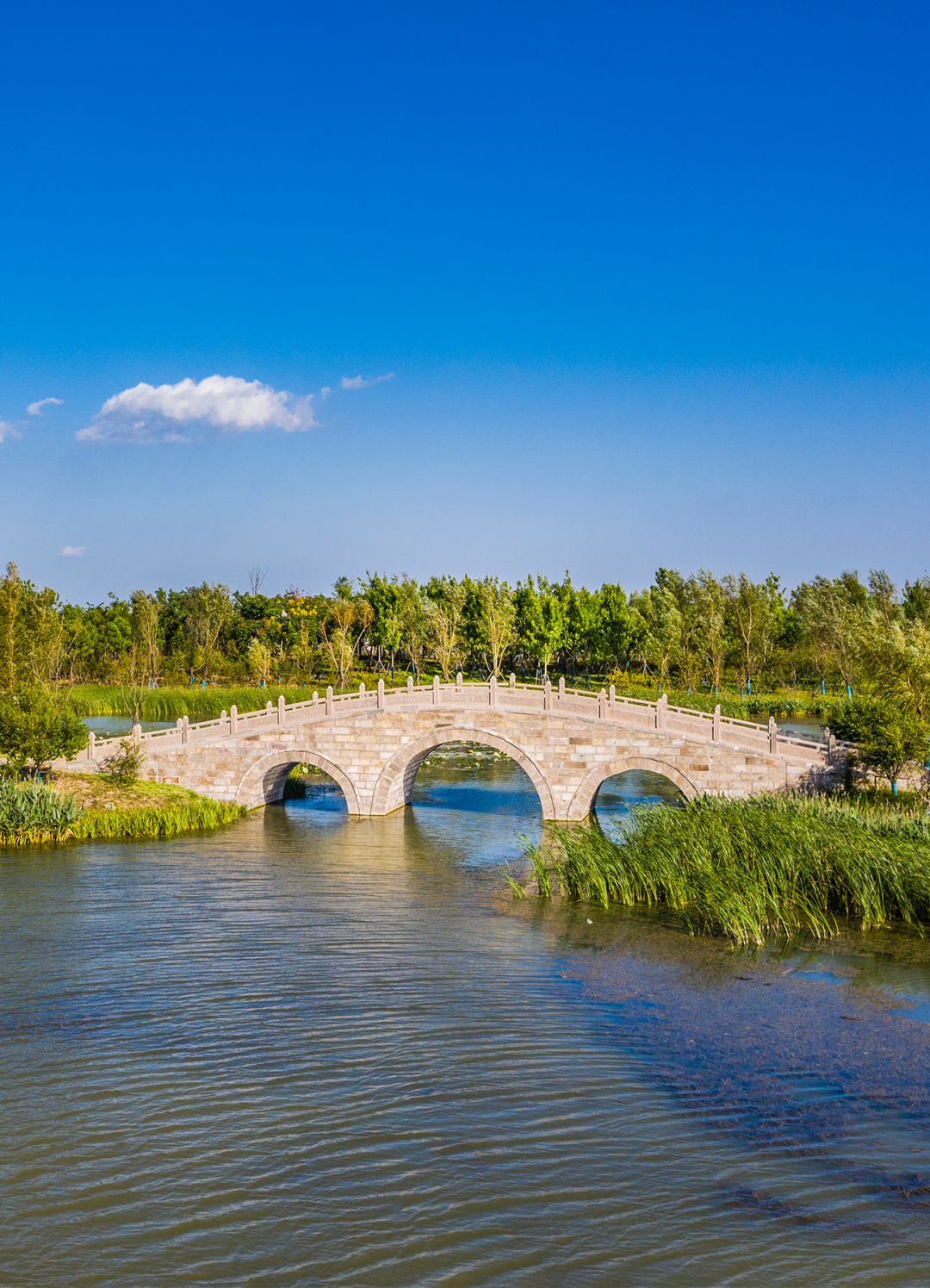 今天起,颍州西湖开放预约!免费!