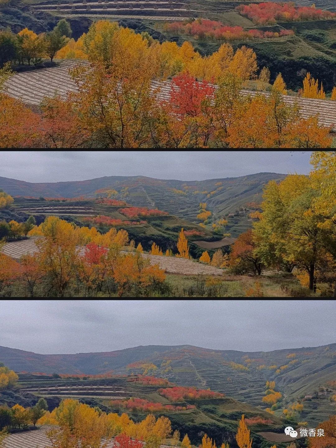 定西香泉镇:秋色染满山,木叶动秋声