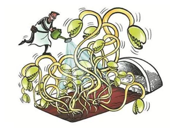 用"无根剂"产销"毒豆芽",忻州一人获刑!